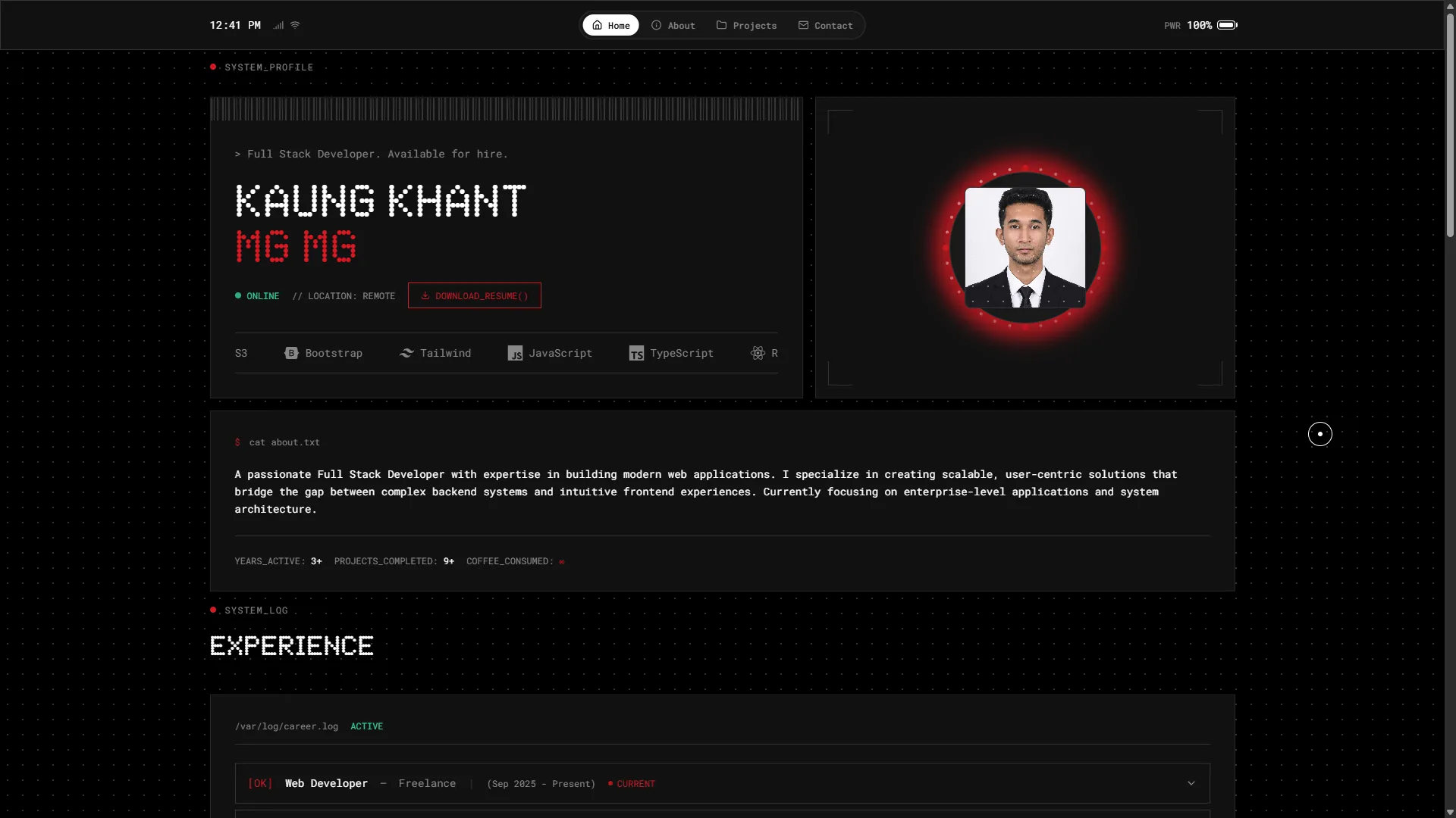 Personal Portfolio Application Preview